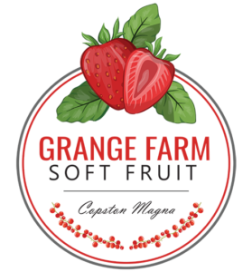Grange Farm Copston Pick Your Own